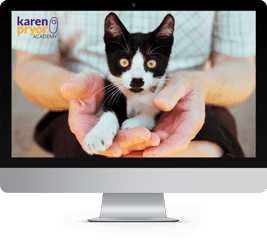 Train Your Cat