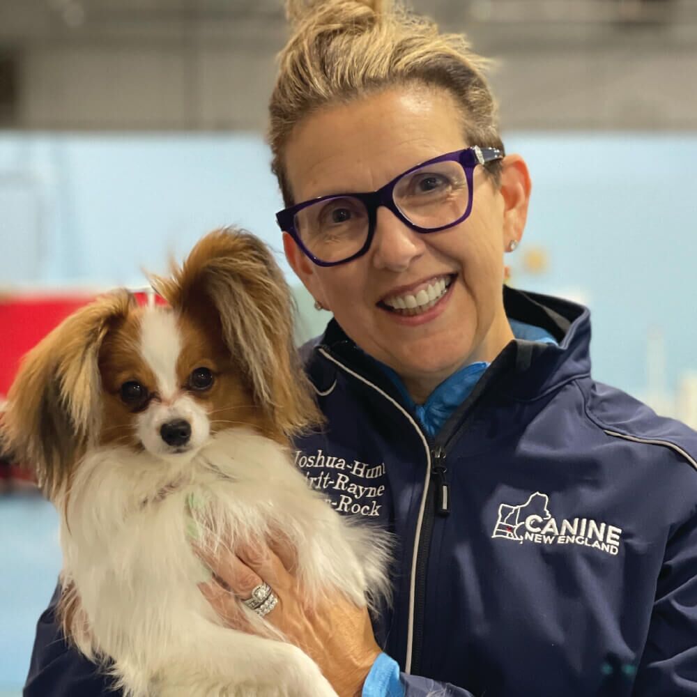 Click to Calm Dog Reactivity Toward People Emma Parsons