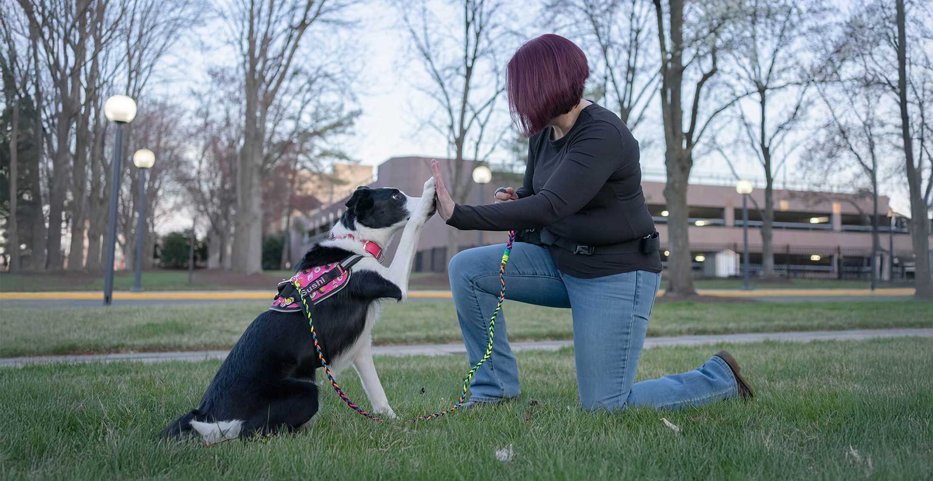 KPA-Upcoming-Dog-Trainer-Professional-Series